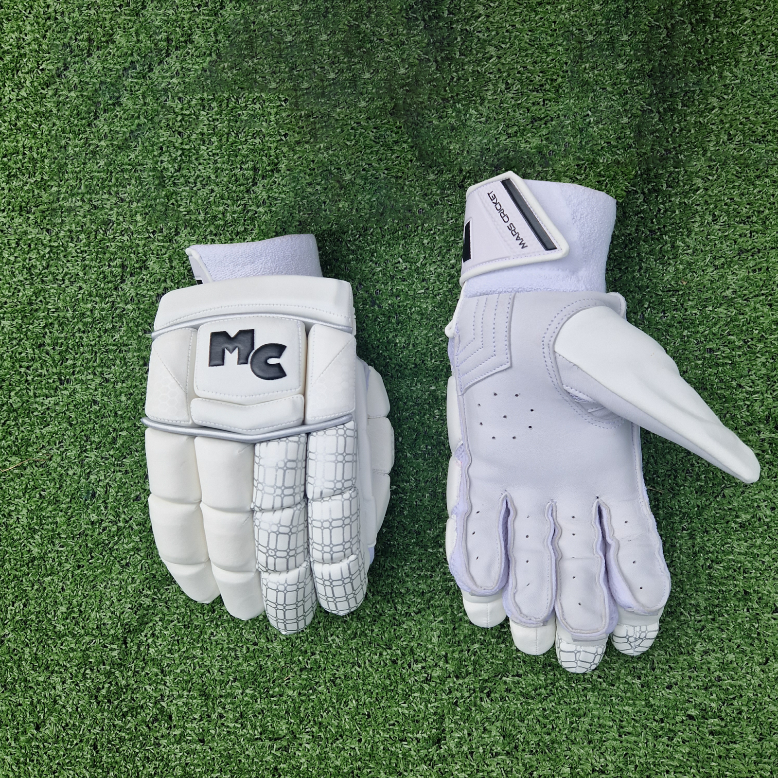 Mars Cricket