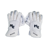 Wicket Keeping Gloves