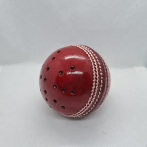 1 x Swing Training Cricket Ball