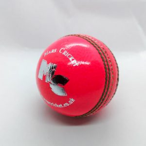 1 x Premier Cricket Ball - Pink