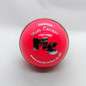 1 x Avenger Cricket Ball - Pink
