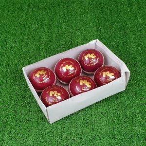 6 x Premier A Cricket Balls - Red