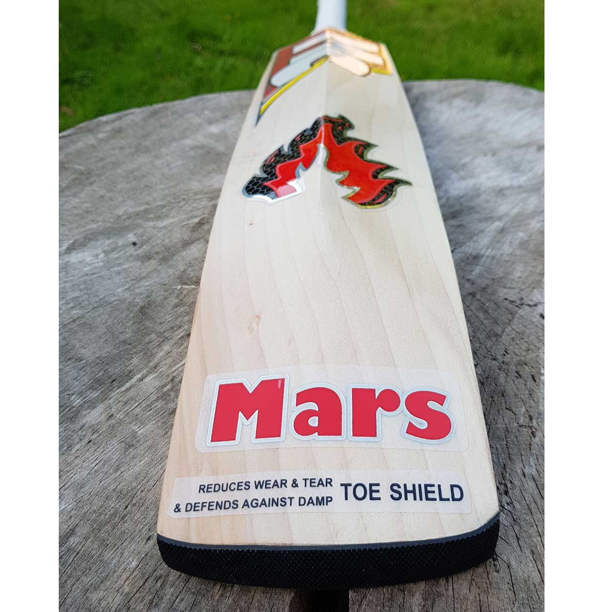 Mars Cricket