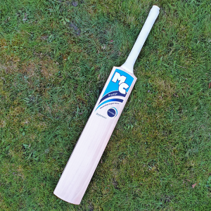 Garden/Backyard Cricket Bat