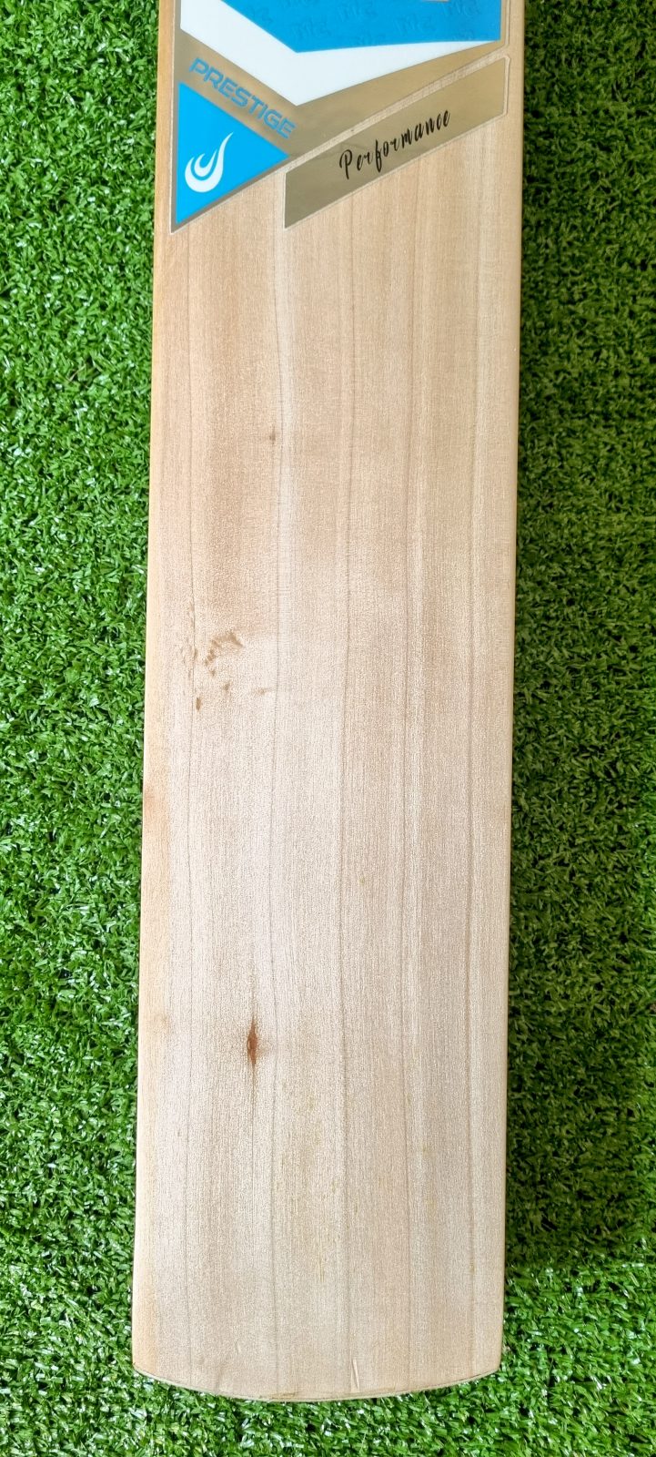 Mars Cricket