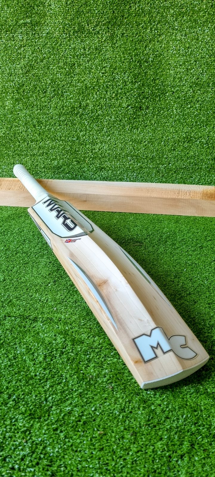 Mars Cricket
