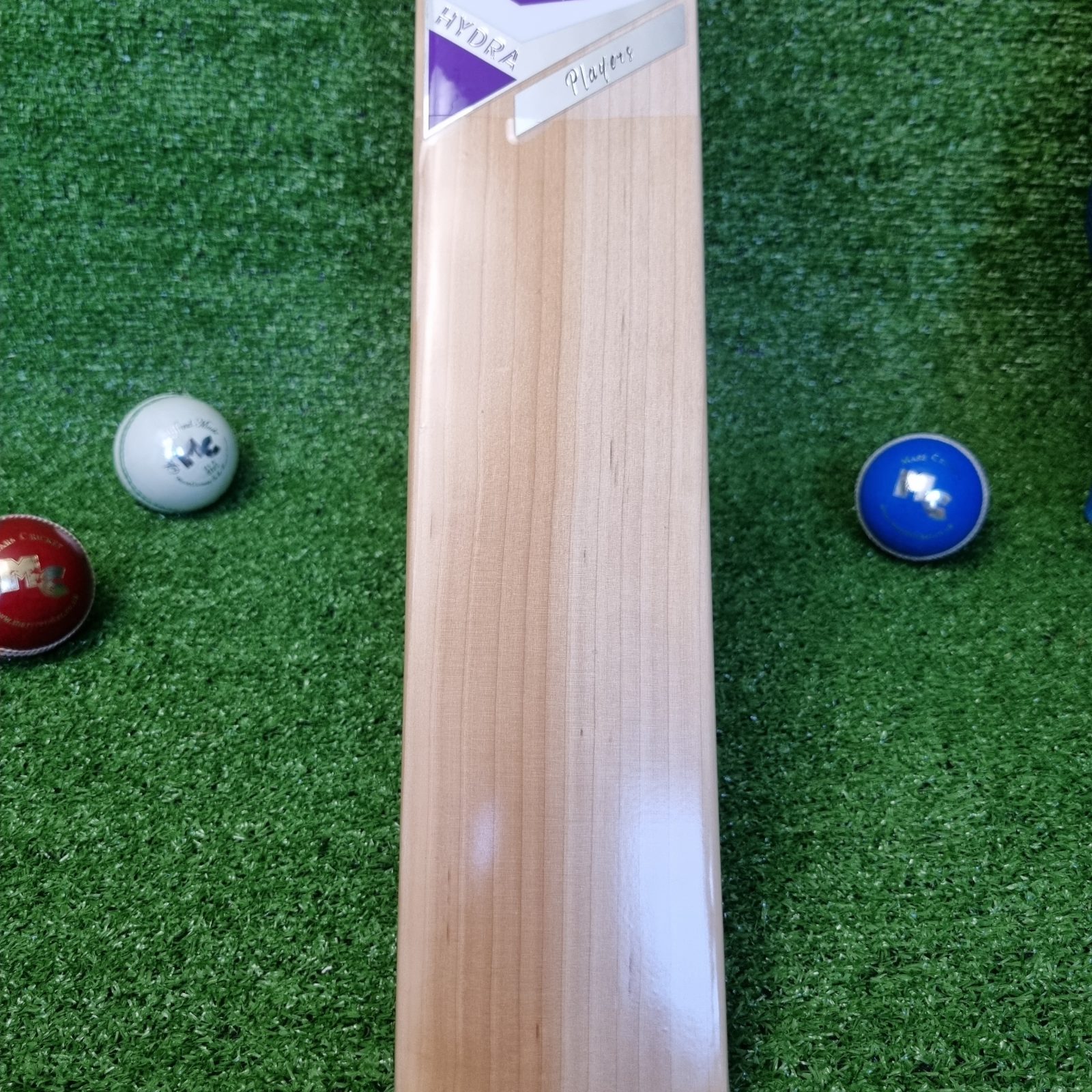 Mars Cricket