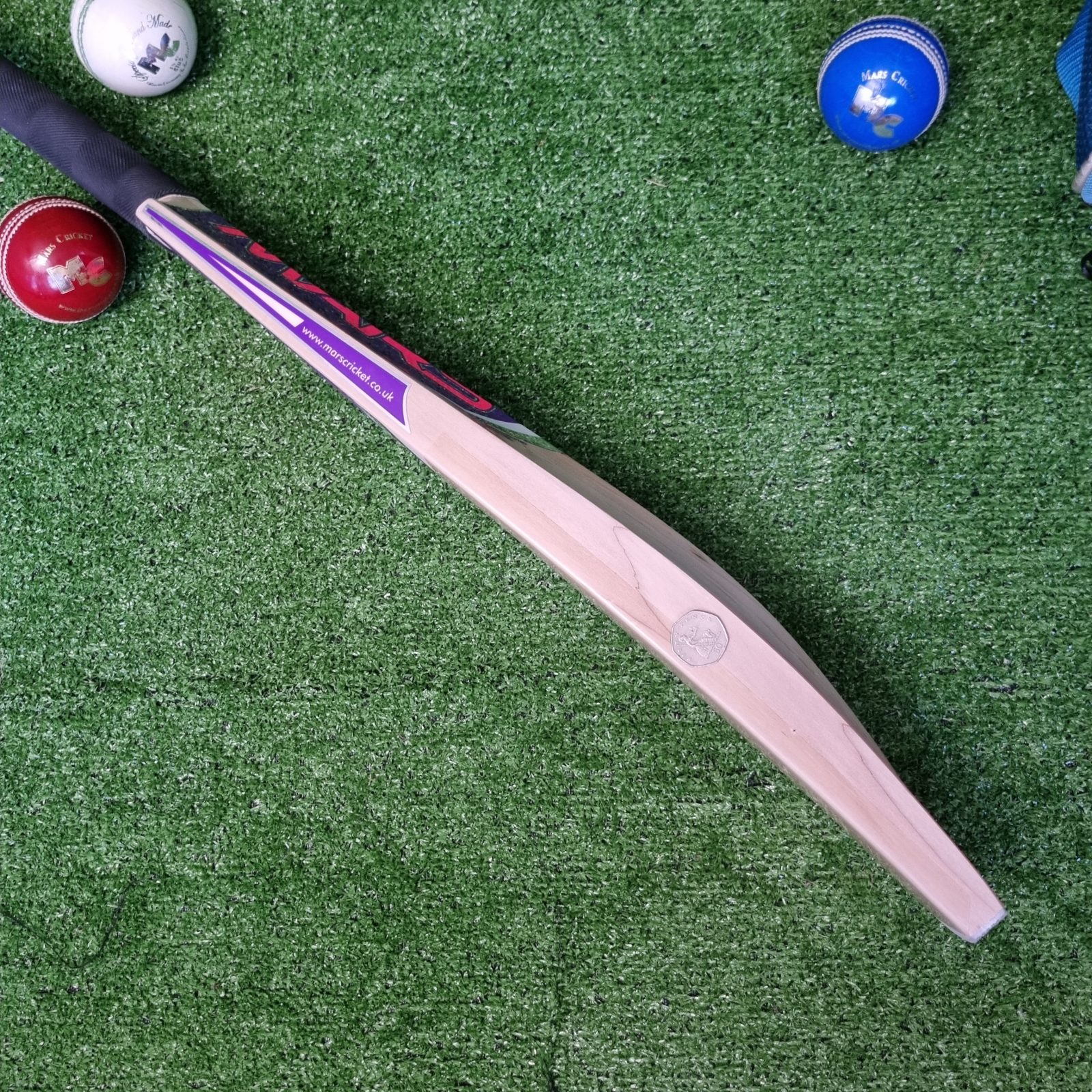 Mars Cricket
