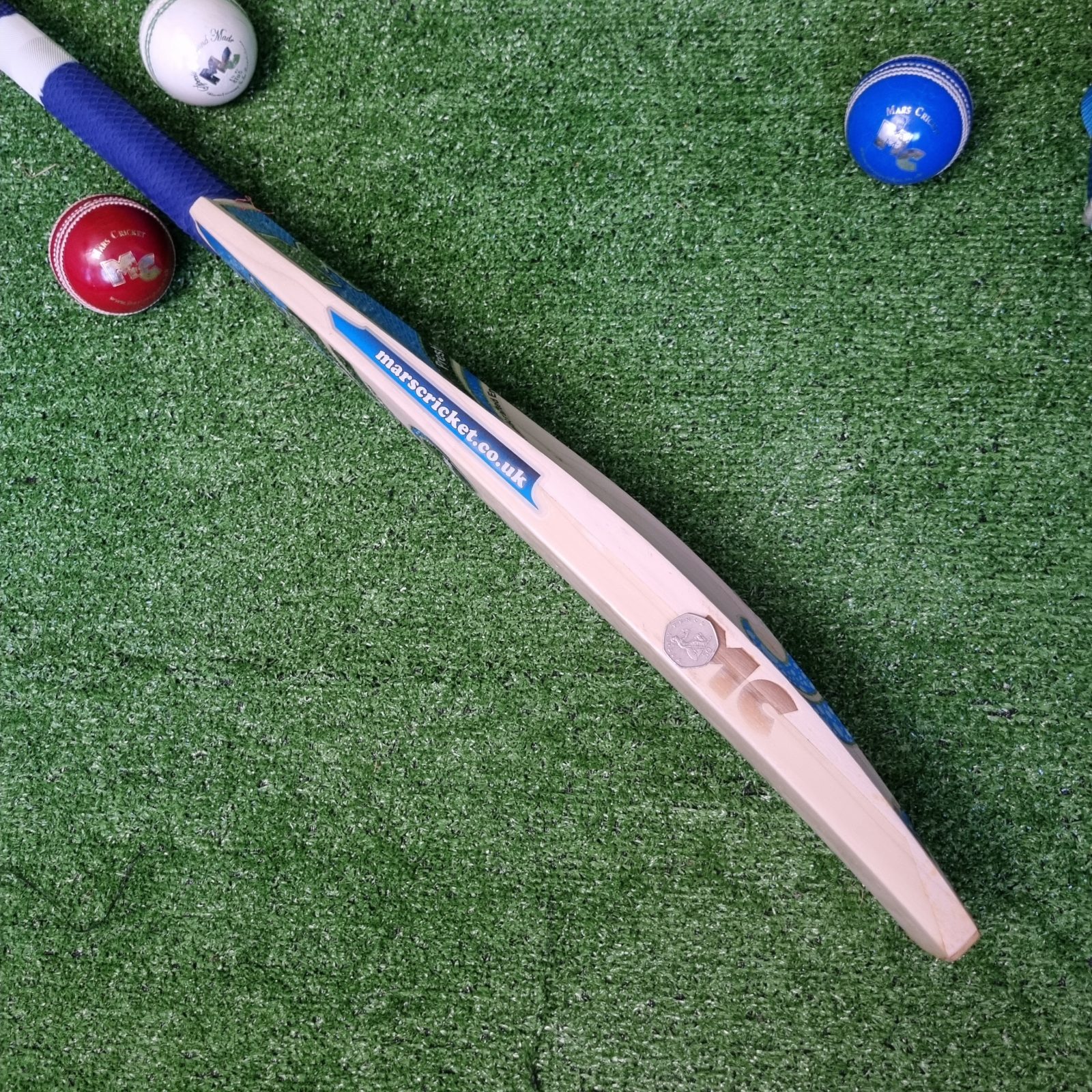 Mars Cricket