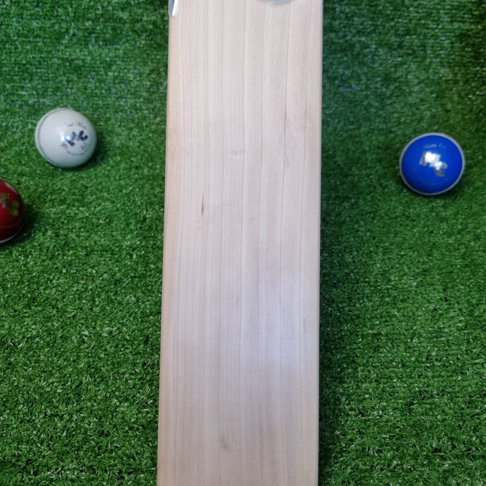 Mars Cricket