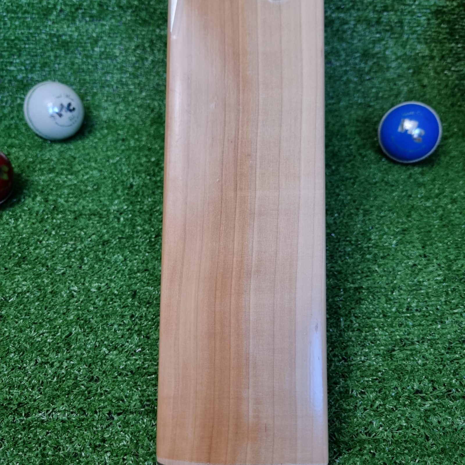 Mars Cricket